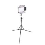 Ikan light - with stand