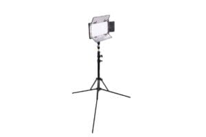 Ikan light - with stand